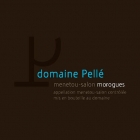 Domaine Henri Pellé Morogues