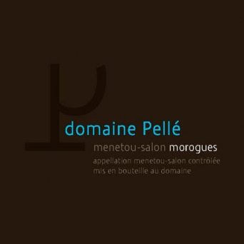 Domaine Henri Pellé Morogues