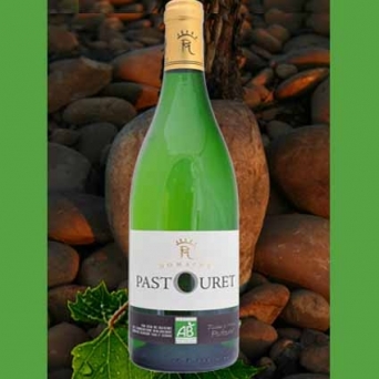 Domaine Pastouret Blanc